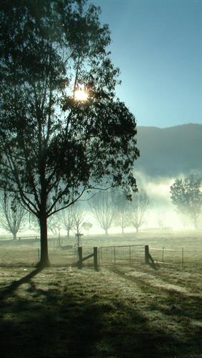 Country Cottage, Harrietville, VIC.